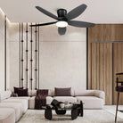 Indoor/Outdoor Recessed Black Ceiling Fan Light - Black42"Blushlighting
