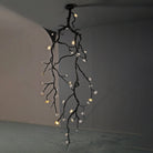 Large Long Branch Flower Chandelier - L 17.7″ x H 43.3″ / L 45cm x H 1100cmBrass stained blackBlushlighting