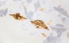 Leaf Twisted Sculptural Customize Chandelier - Support Customized DrawingsBlushlighting