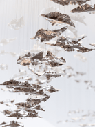 Leaf Twisted Sculptural Customize Chandelier - Support Customized DrawingsBlushlighting