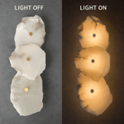 Living Room Wall Sconce | Spanish Alabaster Organic Modern | Petalune - 1 LightBlushlighting