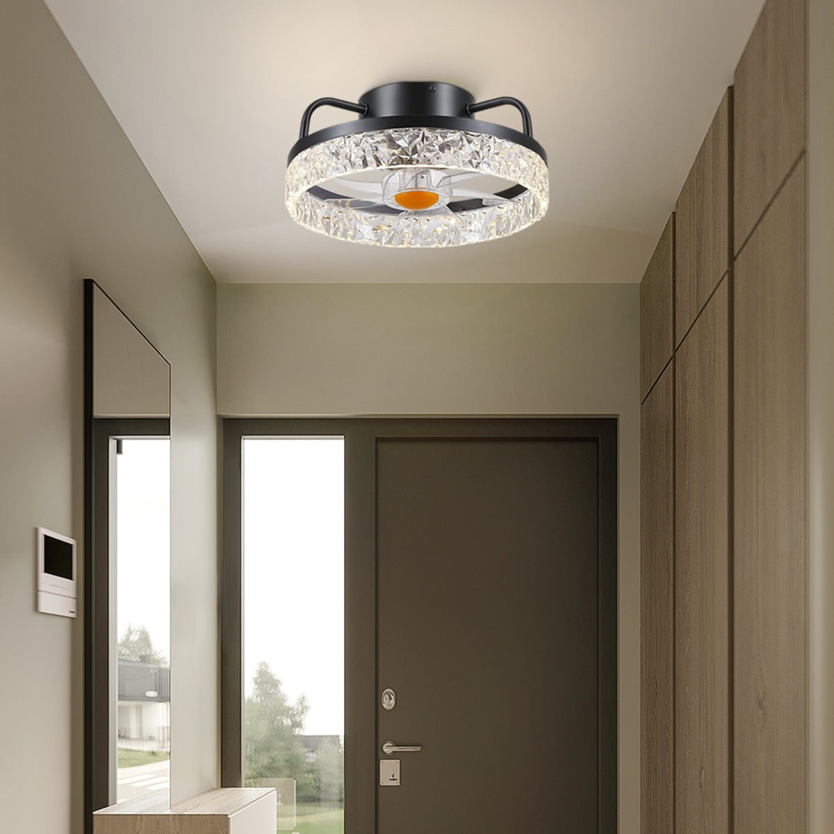 Low Profile Ceiling Fan Light with Remote 13" - Black & RGBBlushlighting