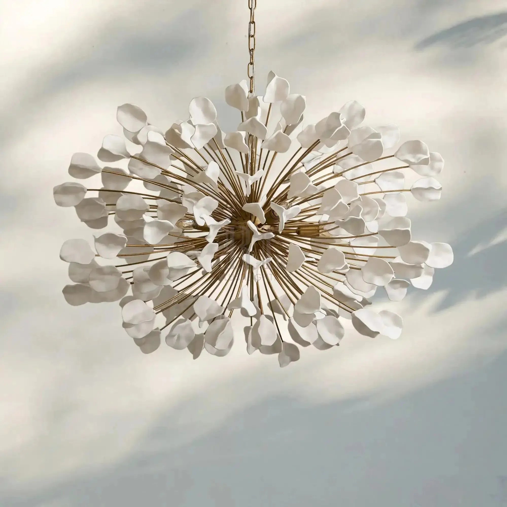 Lunaria Chandelier - Blushlighting