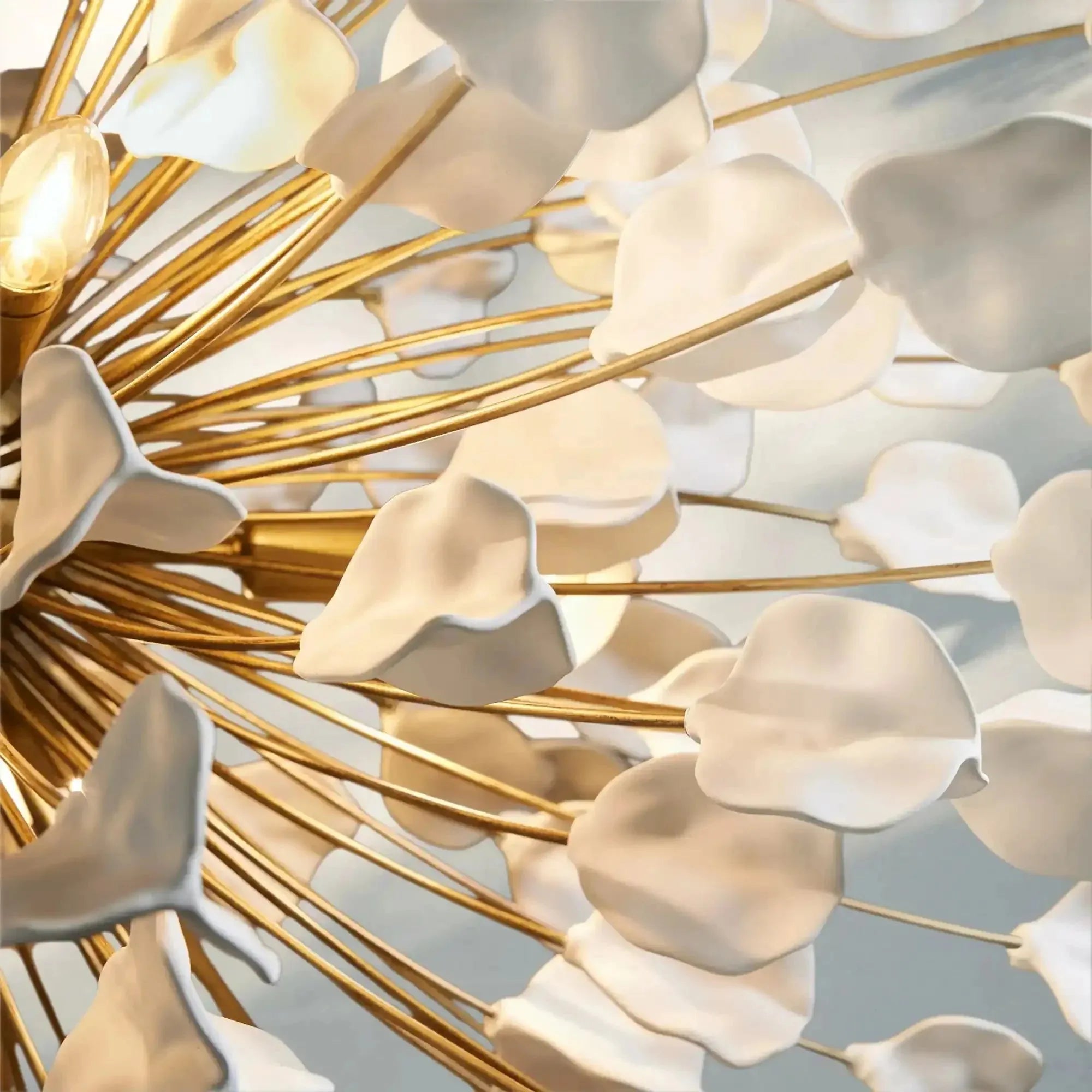Lunaria Chandelier - BRASS / IVORYBlushlighting