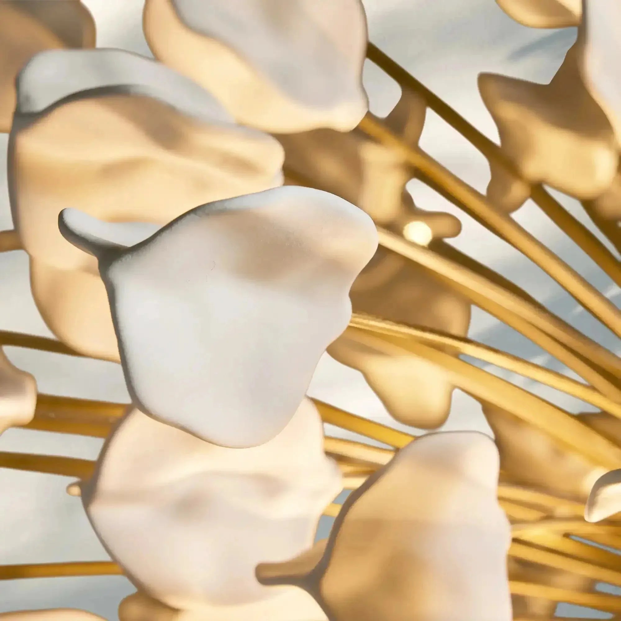 Lunaria Chandelier - BRASS / IVORYBlushlighting