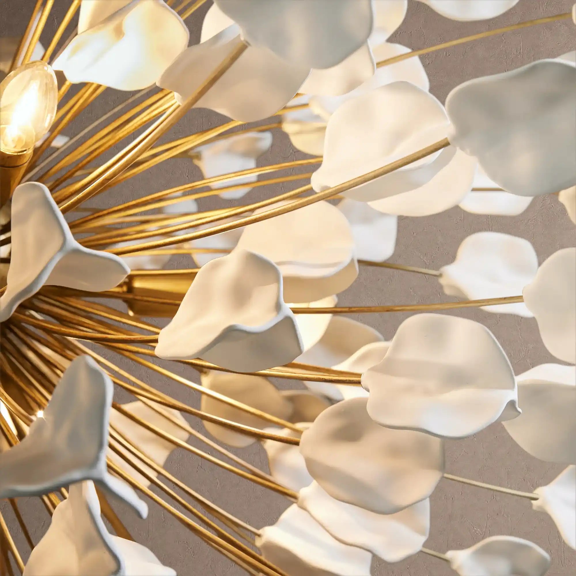 Lunaria Chandelier - BLACK / EBONYBlushlighting