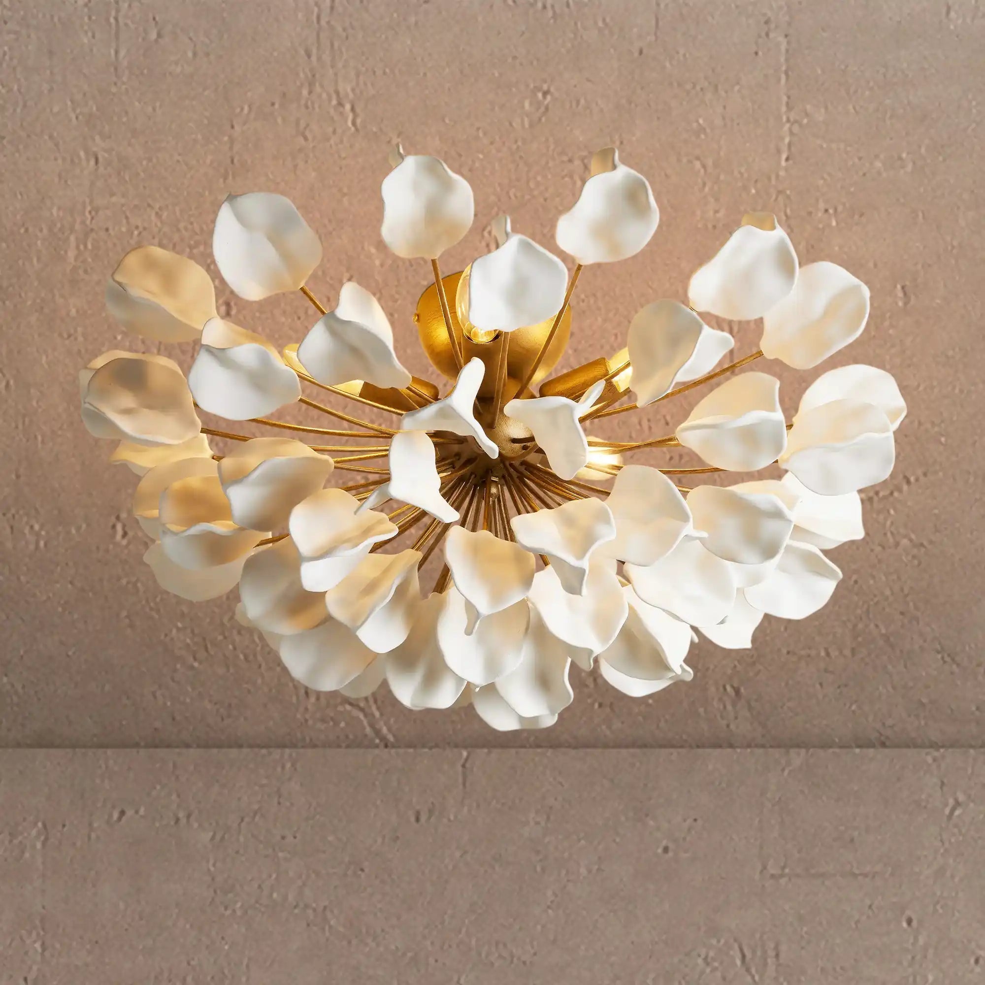 Lunaria Flush Mount - BLACK / EBONYBlushlighting