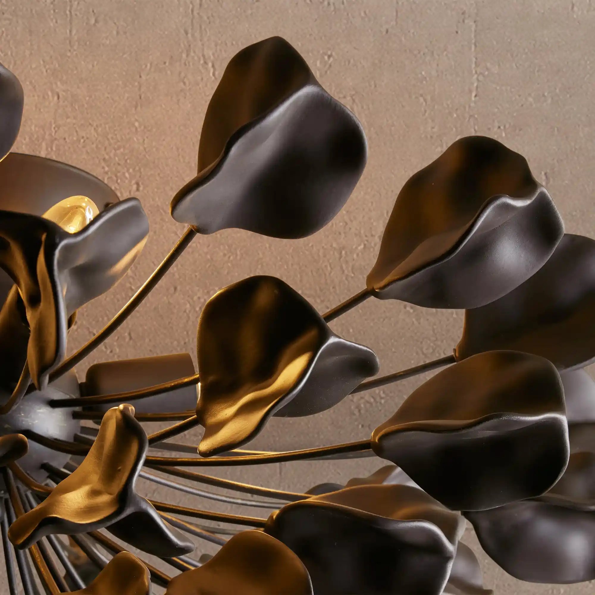 Lunaria Flush Mount - BLACK / EBONYBlushlighting