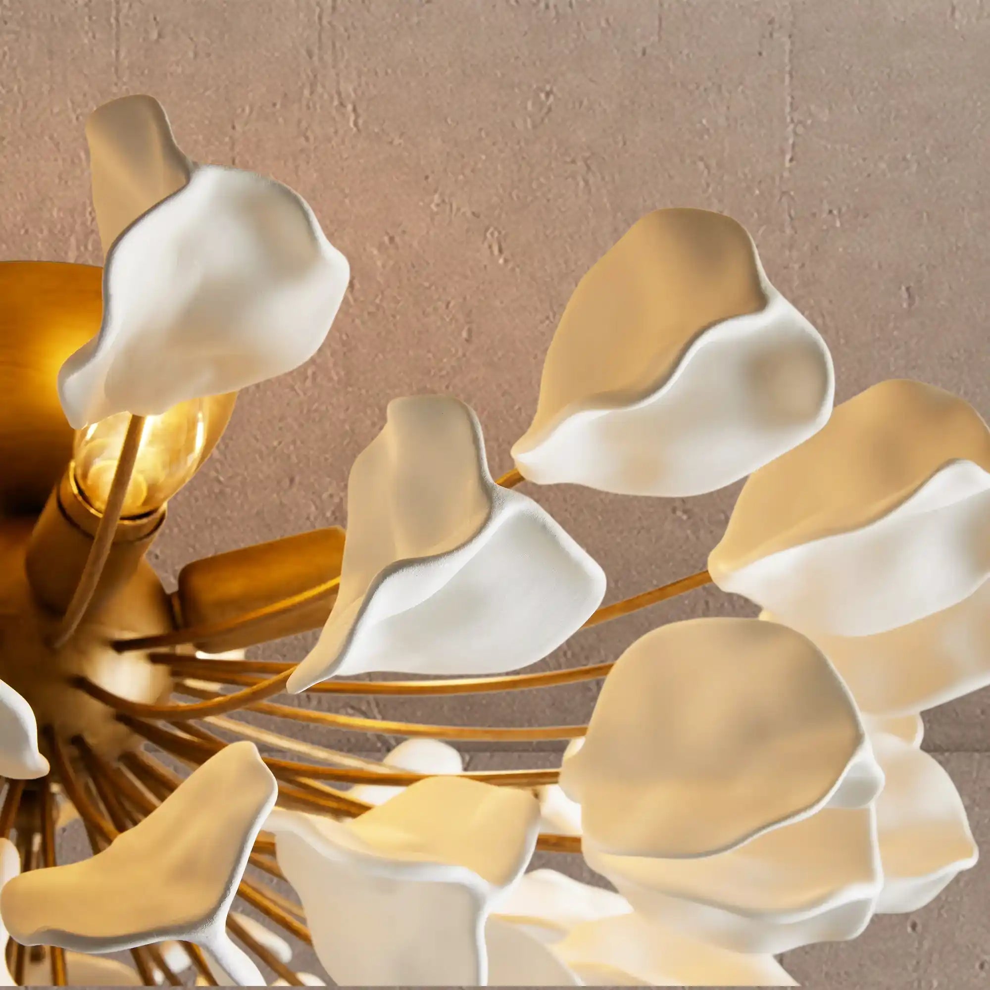 Lunaria Flush Mount - BLACK / EBONYBlushlighting
