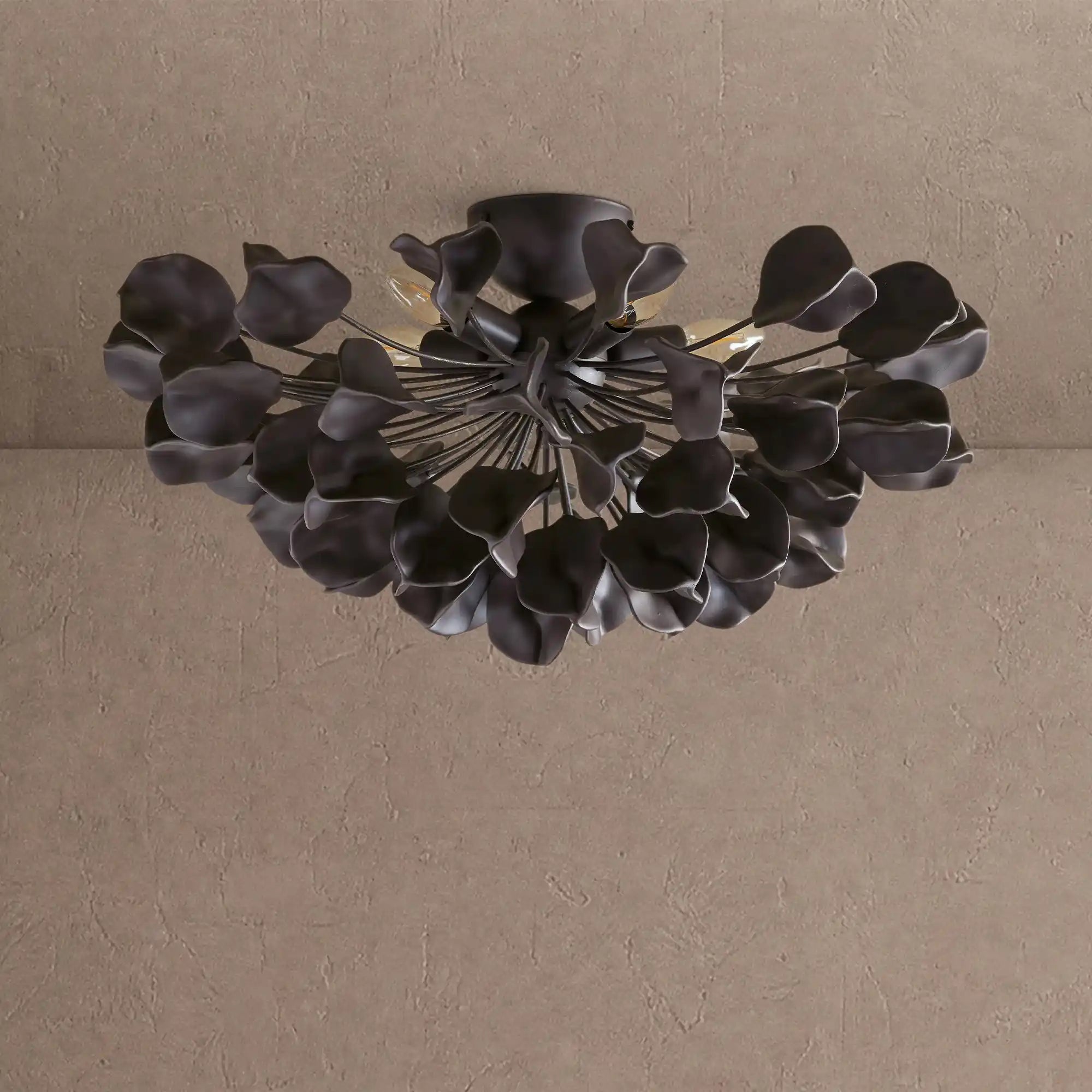 Lunaria Flush Mount - BLACK / EBONYBlushlighting