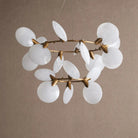 Lyla 2-Tiered Halo Chandelier - Blushlighting