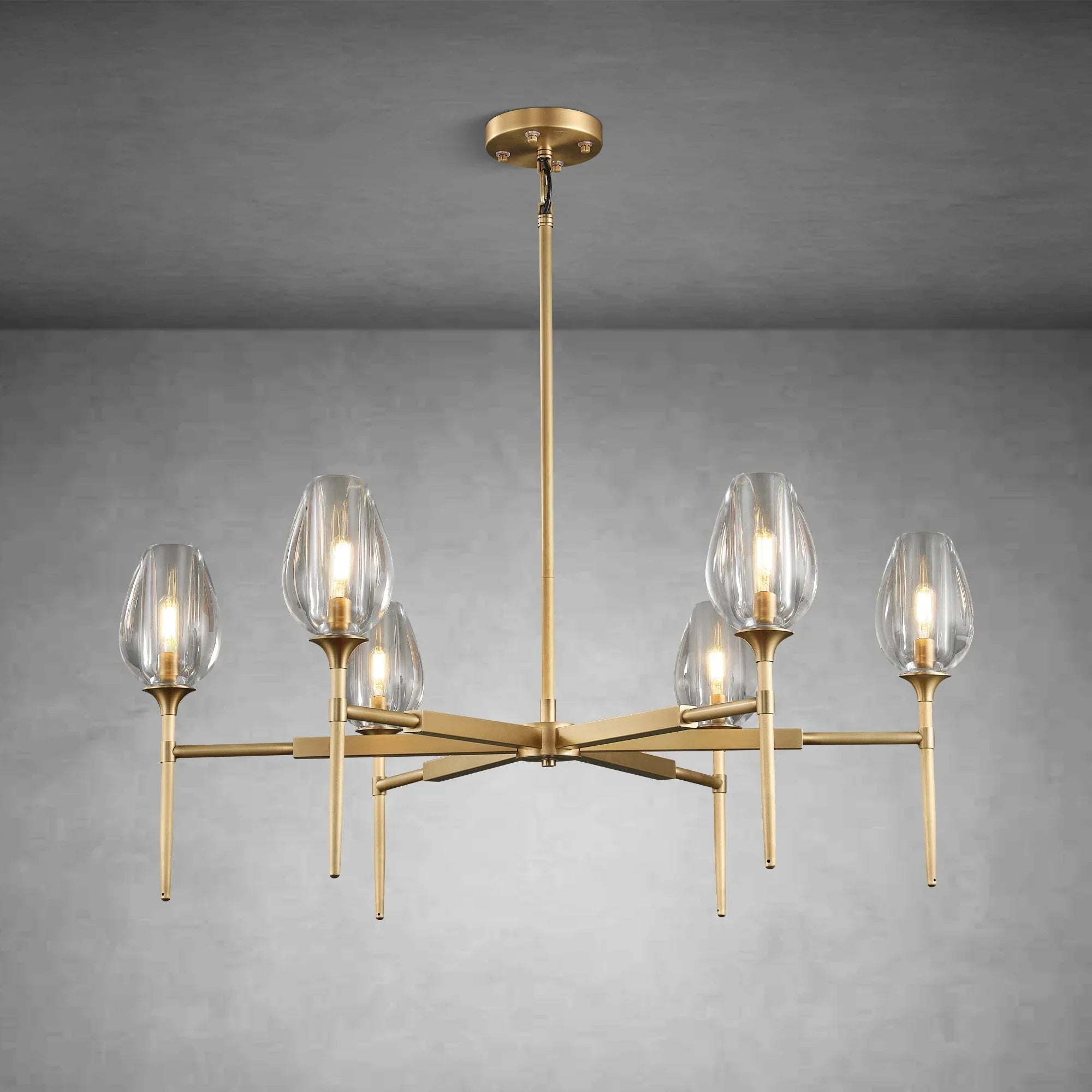 Modern Tulip Round Chandelier for Living Rooms and Bedrooms - Brass6 HeadBlushlighting