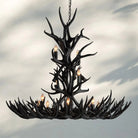 Natural Antler Chandelier 48" - NaturalBlushlighting