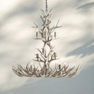 Natural Antler Chandelier 48" - Sun - bleachedBlushlighting
