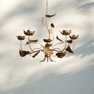 Ninfea Chandelier - 49"Blushlighting