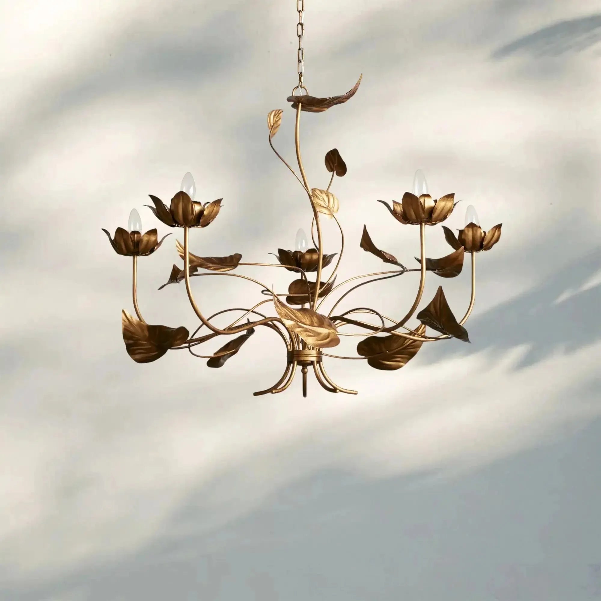 Ninfea Chandelier - 49"Blushlighting
