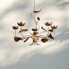 Ninfea Chandelier - Blushlighting
