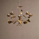 Ninfea Chandelier - 65"Blushlighting