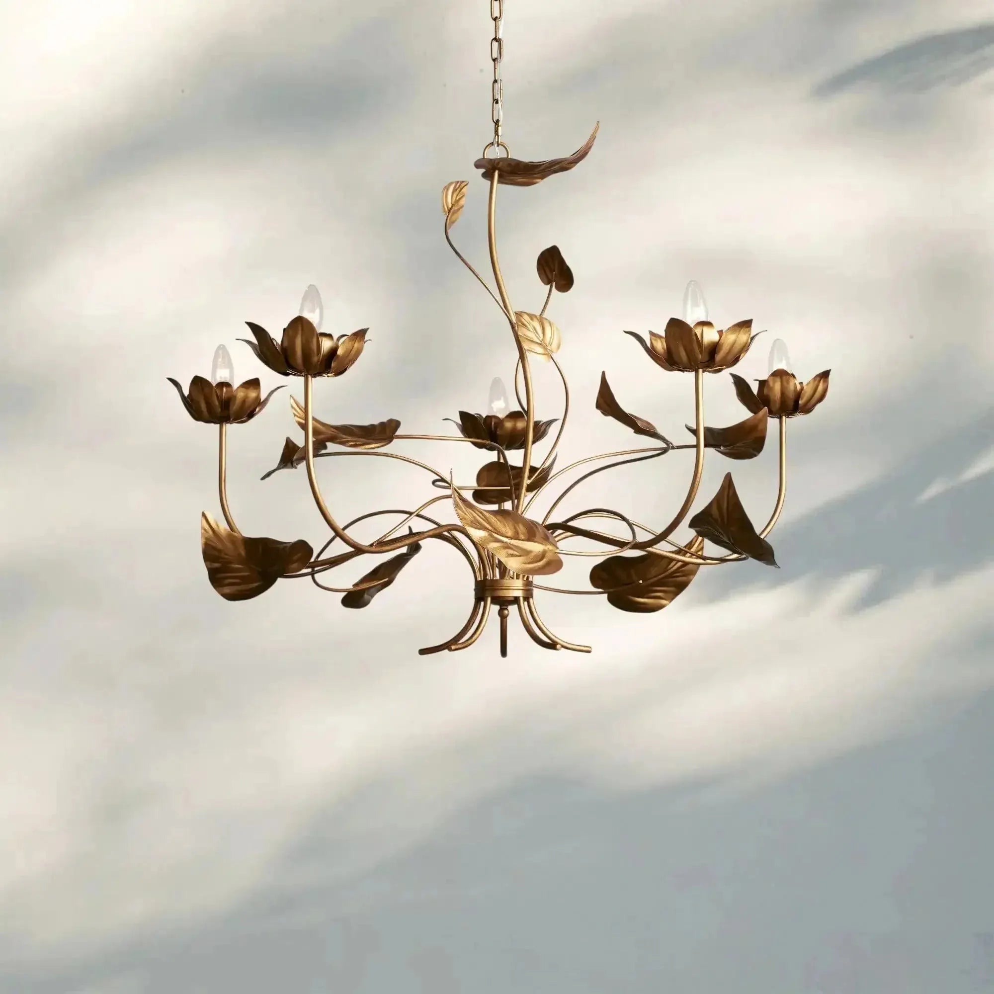 Ninfea Chandelier - 49"Blushlighting