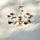 Ninfea Chandelier - Blushlighting