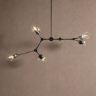 Noella Chandelier - BlackBlushlighting