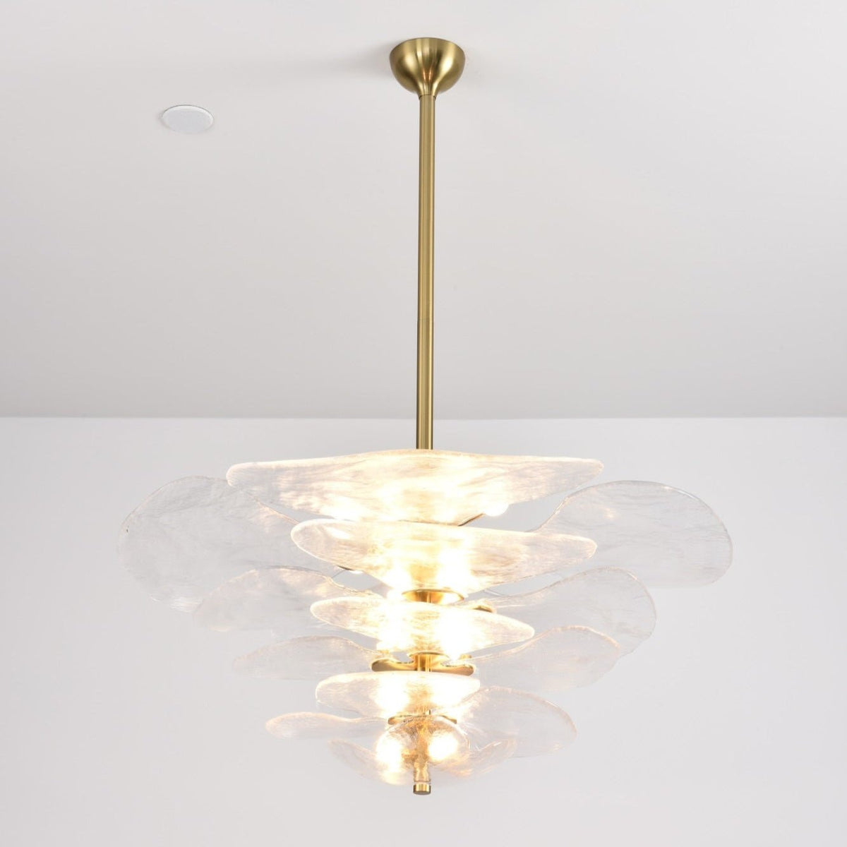 Petals Gold Murano Chandelier - 12-lights ∅ 26.3″ x H 11.4″Amber & GoldBlushlighting