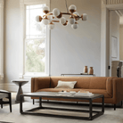 Raechelle Globe Chandelier - Blushlighting