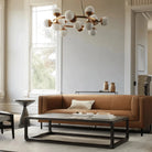 Raechelle Globe Chandelier - Blushlighting