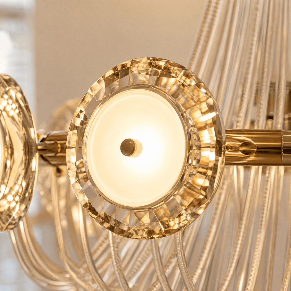 Rococo Dream Modern Sculptural Ring Chandelier - Blushlighting