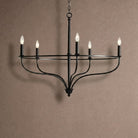 Rosalind Round Chandelier - BlackBlushlighting