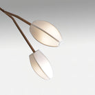 Sacura Chandelier - 6 lights L 49.2″ x W 39.4″ x H 43.3″Brass & WhiteBlushlighting