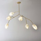 Sacura Chandelier - 6 lights L 49.2″ x W 39.4″ x H 43.3″Brass & WhiteBlushlighting