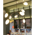 Sacura Chandelier - 6 lights L 49.2″ x W 39.4″ x H 43.3″Brass & WhiteBlushlighting