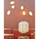 Sacura Chandelier - 6 lights L 49.2″ x W 39.4″ x H 43.3″Brass & WhiteBlushlighting