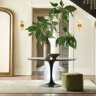 Sayre Linear Glass Globe Two Head Wall Sconce - Blushlighting