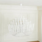 Swinton Tilda Chandelier - 6 Heads ∅ 20.9″ x H 29.9″BlackBlushlighting