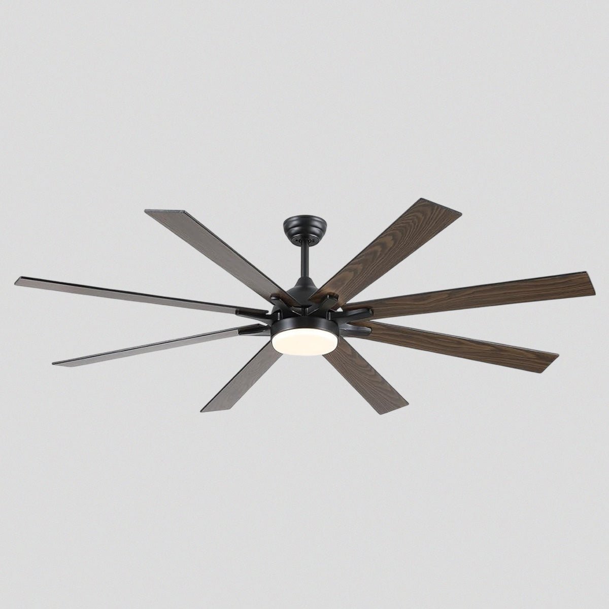 Ventora Fans with Lights - Blushlighting