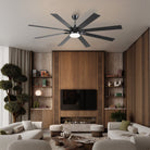 Ventora Fans with Lights - Blushlighting