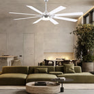 Ventora Fans with Lights - Blushlighting