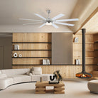 Ventora Fans with Lights - Blushlighting