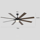 Ventora Fans with Lights - Blushlighting