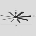 Ventora Fans with Lights - Blushlighting