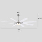 Ventora Fans with Lights - Blushlighting