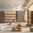 Ventora Fans with Lights - Blushlighting