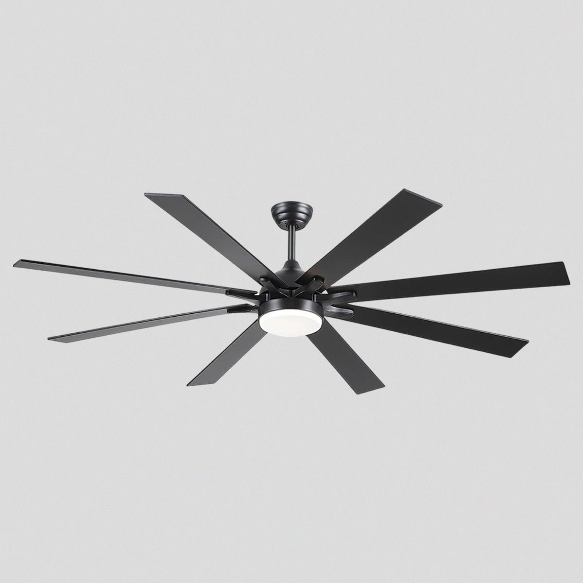 Ventora Fans with Lights - Blushlighting