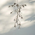 Viticcia Cascade Chandelier - Blushlighting