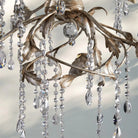 Viticcia Round Chandelier-Lighting-Blushlighting