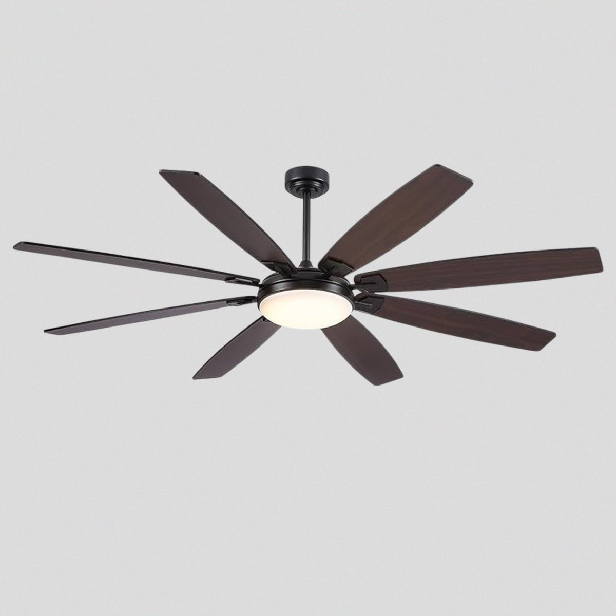 Zephyra Ceiling Fans with Lights 72" - Blushlighting